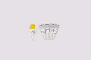 高品質(zhì)病毒核酸檢測(cè)原料One-step Probe RT-qPCR Kit V2 V5009/V5010