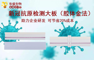上新了！東盛推出新冠病毒抗原檢測膠體金大板產(chǎn)品