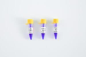 PCR Mix升級丨趁“熱啟動”，體驗(yàn)升級