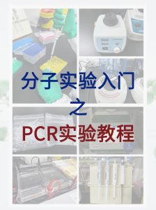 分子小白入門必學，完整的PCR實驗教程