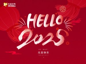 辭舊迎新，共啟2025年新征程