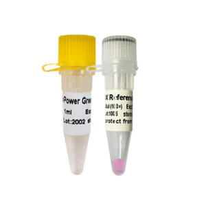 Power Green qPCR Mix (with ROX+)