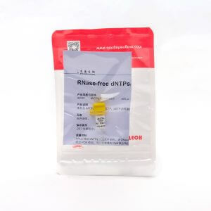 RNase-free dNTPs（R2051） dATP、dTTP、dCTP、dGTP的等摩爾混合物。