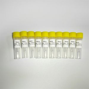 NGS轉座酶建庫擴增引物TN Primer Index List-A K211-A