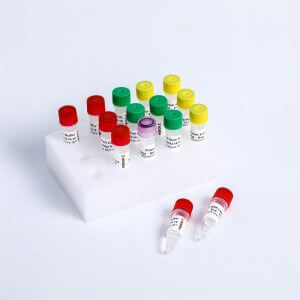 GDS Non-Directional RNA Second Strand Synthesis Module K022-A K022-B
