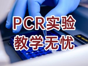 PCR開源教學(xué)試劑盒 - 開啟分子生物學(xué)教學(xué)新體驗