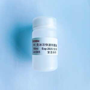 10X免冰浴快速轉(zhuǎn)膜液 D1015
