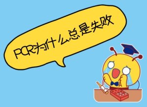 PCR為什么總是失??？——5個常見原因與解決辦法