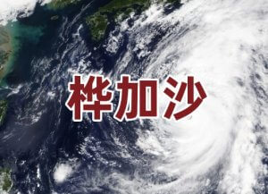 超強臺風“樺加沙”來襲：公共衛(wèi)生挑戰(zhàn)與分子檢測在災害應對中的關鍵角色